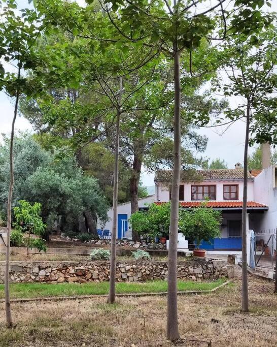 La Caseta De Rotova - Casa Rural Para Desconectar Ngoại thất bức ảnh